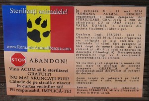 campanie sterilizare