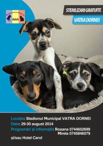 sterilizare 2