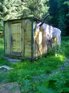 cabana_muncitori_padure